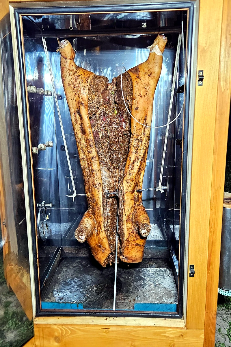 Räucherkammer Smart  50 18