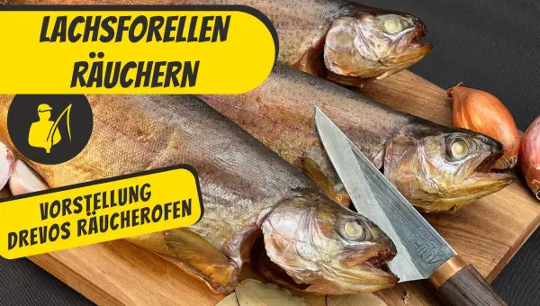 Rückblick und Forelle